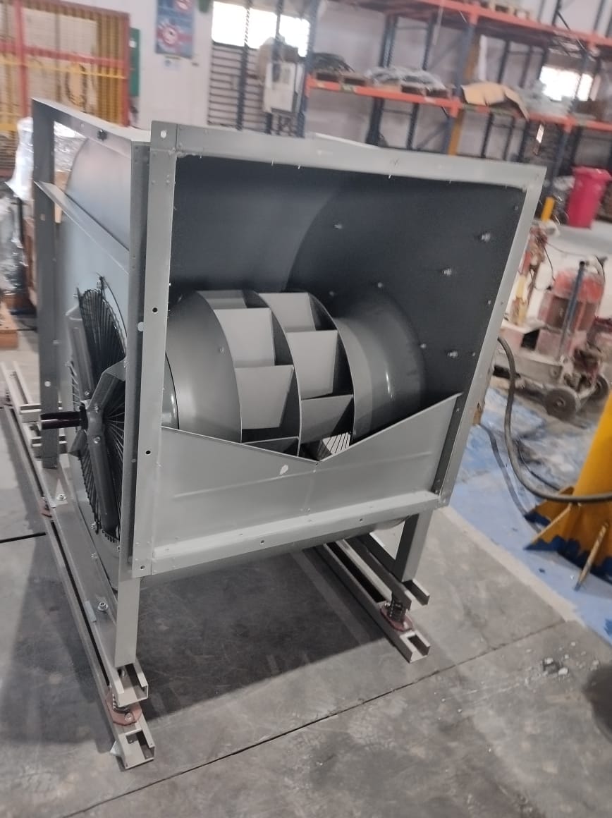 WhatsApp Image 2025-10-11 at 15.37.26