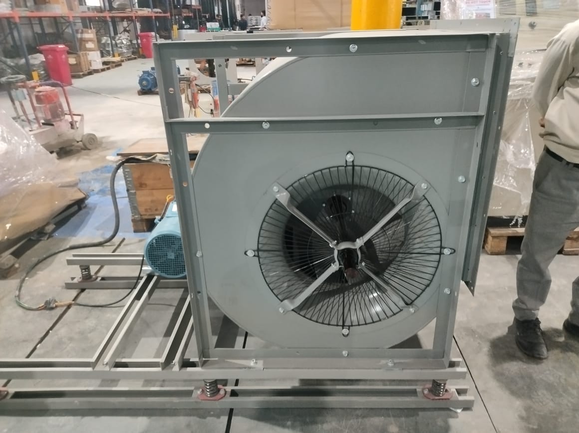 WhatsApp Image 2025-10-11 at 15.37.27