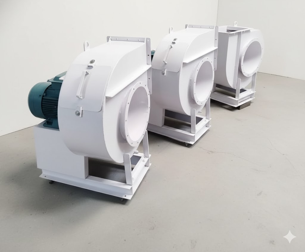 WhatsApp Image 2025-11-03 at 3.41.28 PM